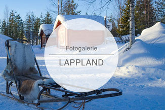 Fotogalerie, Bilder, Lappland