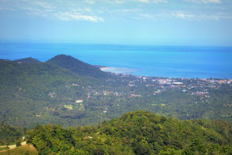 Koh Samui, Thailand, Meer, Palme, Die Traumreiser