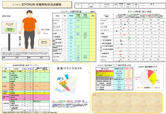 八訂 VXEIYOKUN 2025 - 日本標準成分表2020八訂版対応のエクセル栄養君