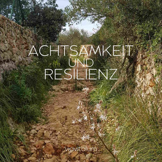 Achtsamkeit & Resilienz - Resilienztraining auf Mallorca