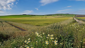 Herrliche weite Landschaften ...
