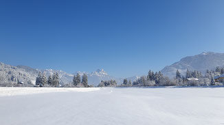 Gimpel und Rote Flüh in kalter Winterluft