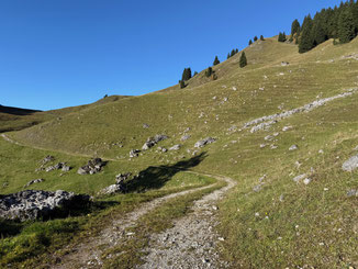 wunderbare Pfade in Richtung Gipfel