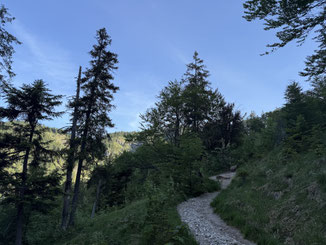 Von Beginn an schöne, schmale Pfade