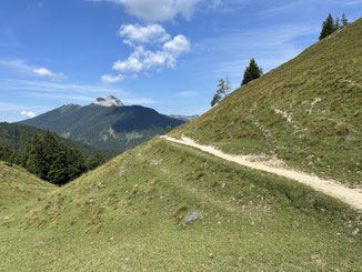 auf schönen Wegen wieder zurück ins Tal