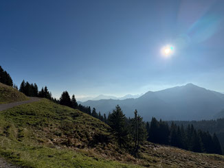 nach dem Waldstück kam die Sonne heraus