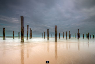 Noord-Holland | Palendorp | Petten | 09-24 