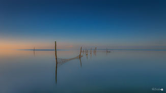 Noord-Holland | Markermeer | Visnetten