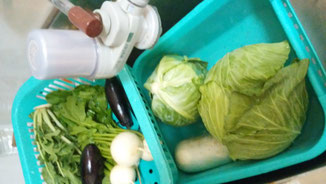 素粒水:新鮮保存野菜 千葉県鎌ヶ谷市ショッピング 健康の店はしもと