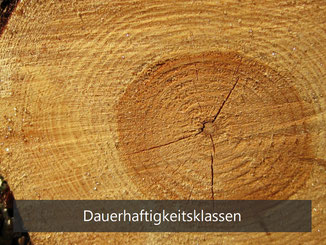 Holz Dauerhaftigkeitsklassen