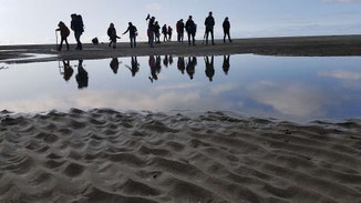 sortie nature en baie de Somme: Traversée de la baie et visite des phoques