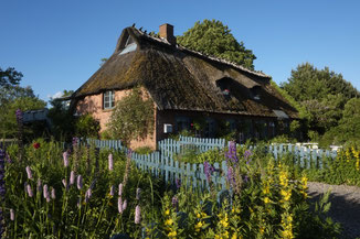 Café Lichthof in Falshöft