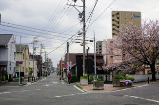 東井筋(江川)の分水地点。奥へ続く道がその跡