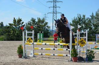Nives Stiefel und AP Jupiter CH bestritten den Parcours für den Reitverein Gossau und Wetzikon.