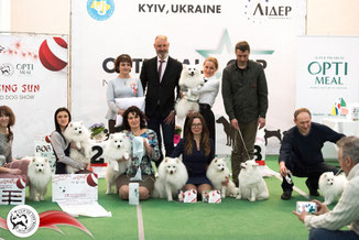 World Japanese Spitz Day, Japanese Spitz monobreed dog show Cup of the Rising Sun, Ukraine