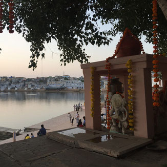 Pushkar Rajasthan