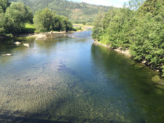 Lachs angeln Norwegen, in großen Flüssen, in Straumen in Meeresbuchten mit Fliege und Blinker, hier kleiner Fluss