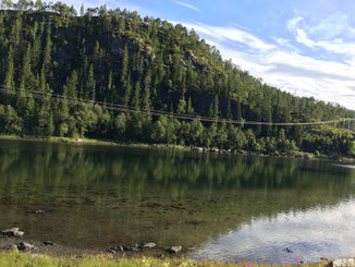 Lachs angeln Norwegen, in großen Flüssen, in Straumen in Meeresbuchten mit Fliege und Blinker, hier Meeresbucht mit Lachs