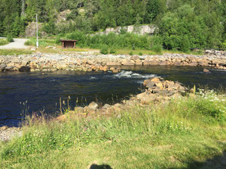 Lachs angeln Norwegen, in großen Flüssen, in Straumen in Meeresbuchten mit Fliege und Blinker, hier kleiner Fluss