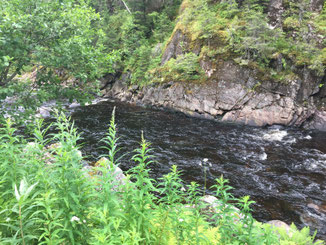 Lachs angeln Norwegen, in großen Flüssen, in Straumen in Meeresbuchten mit Fliege und Blinker, hier kleiner Fluss