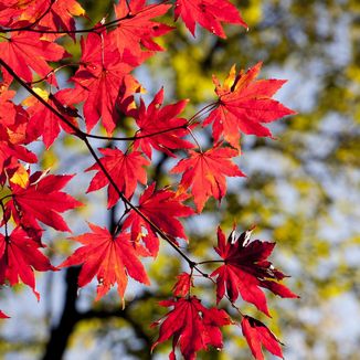 Zahnarztpraxis Joachim Stöhr Mühlhausen - Herbstferien