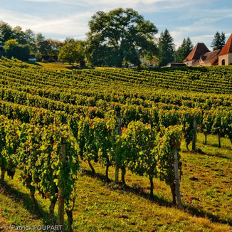 Vignoble de Madiran - L'Enclave Insolite