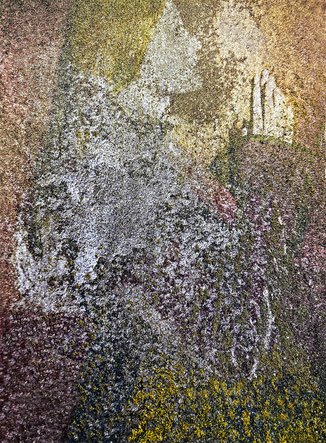 «Disappeared N°4» opera di Patricia Canino