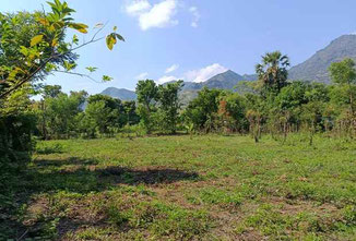 Pemuteran land for sale