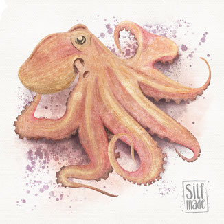 Aquarell Watercolor Oktopus