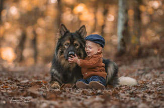 photo fillette et chien Cane Corso, fillette assise sur une valise ancienne dans la forêt à côté d'un chien, photographe enfants et famille 32, 65, 31