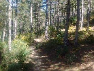 Chemin de randonnée au col de Fins