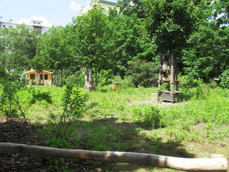 Im Bienen-Garten betreiben wir Naturschutzarbeit, um die Artenvielfalt von Tieren und Pflanzen zu erhöhen.