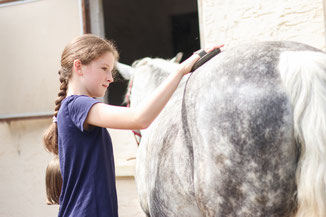 Spielerisches reiten lernen für Kinder ab 3 Jahren
