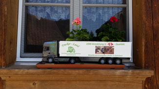SCANIA R620 Gartenmodell Truckerland Blumenkasten