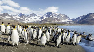 SPI2600 HANSEATIC spirit Weihnachtsreise