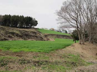 境川遊水地公園の周辺の丘