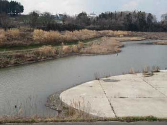 横浜市・県立境川遊水地公園の下飯田ビオトープ