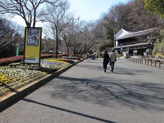 川崎市・向ヶ丘遊園の生田緑地