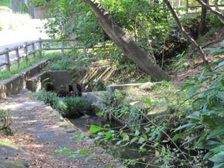 東京都町田市・芹が谷公園の水路