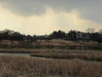 横浜市・境川遊水地公園全景