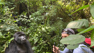 Motorcycle Tour and Gorilla Trekking in Uganda