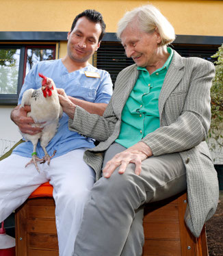 Seniorenheime mieten Hühner, Pfleger und alter Dame mit Huhn