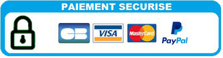 dépannage informatique Nice, dépannage informatique à domicile Nice , Assistance informatique Nice, maintenance informatique Nice, réparateur PC Nice 