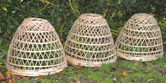 Garten-Cloches aus Bambus bei www.the-golden-rabbit.de