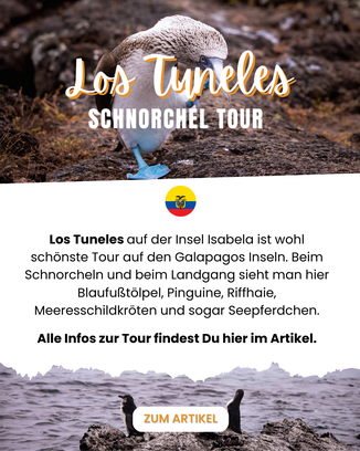 Galapagos Inseln Reiseblog