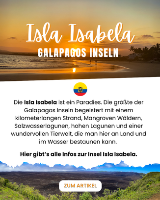 Galapagos Inseln Reiseblog