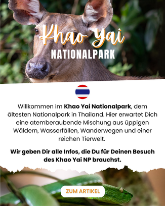 Khao Yai Nationalpark Thailand
