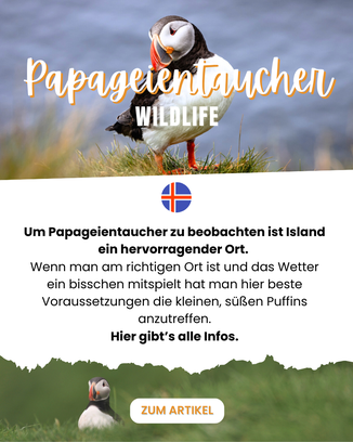 Island Reise Blog