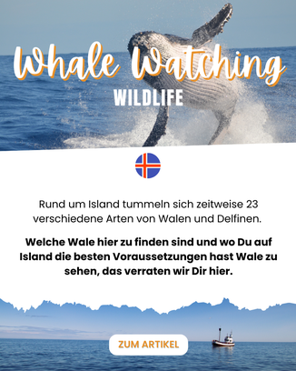 Island Reise Blog