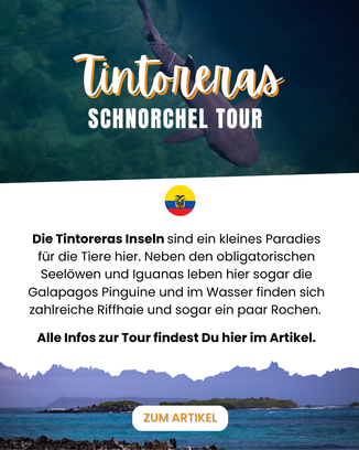 Galapagos Inseln Reiseblog